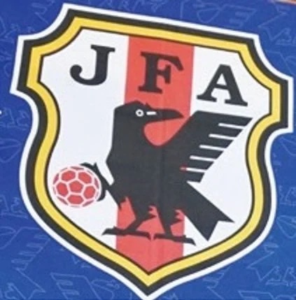 サッカー日本代表×インドネシア代表